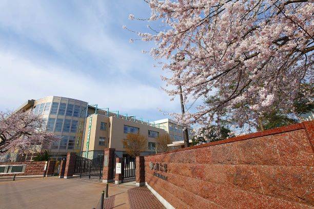 弘前大學校園風景櫻花樹